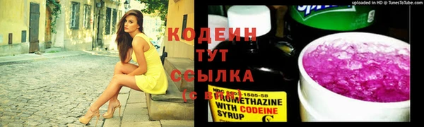 2c-b Бородино