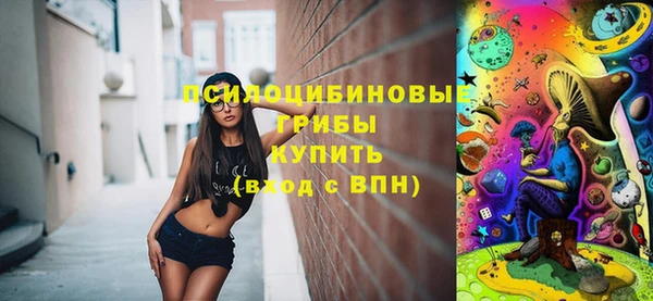 хмурый Богородск