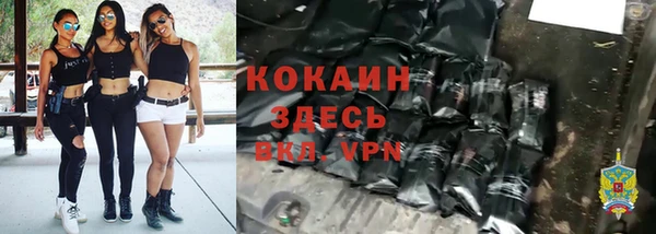 2c-b Бородино