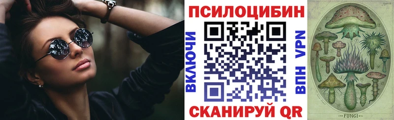 купить   Топки  Галлюциногенные грибы прущие грибы 